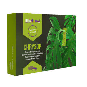 Chrysop - Tegen spint, trips, bladluis en wolluis-20 kaartjes