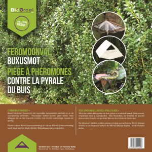 Deltaval Buxusmot