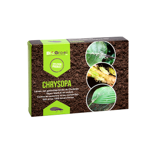 Chrysopa-10.000